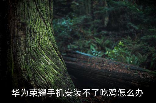 华为荣耀手机安装不了吃鸡怎么办