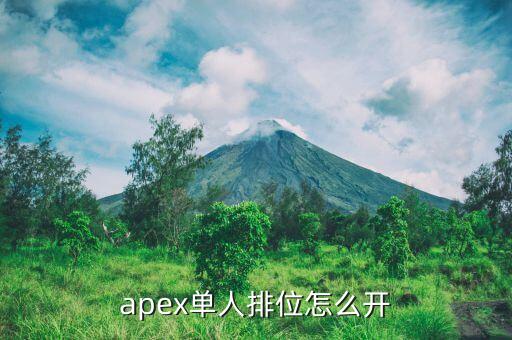 apex单人排位怎么开