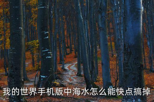 我的世界手机版中海水怎么能快点搞掉