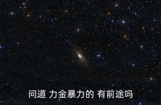 问道手游暴力金怎么样，问道力金怎么样
