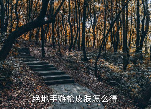 绝地手游枪皮肤怎么得