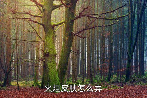 火炬皮肤怎么弄