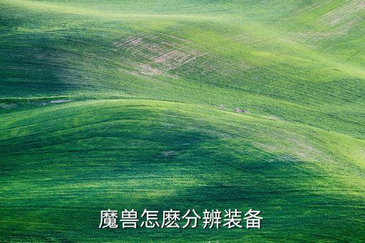 魔兽怎麽分辨装备