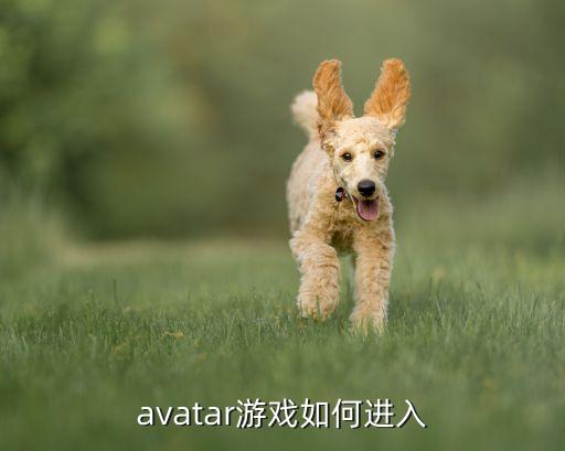 avatar游戏如何进入