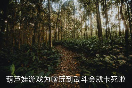 葫芦娃游戏为啥玩到武斗会就卡死啦