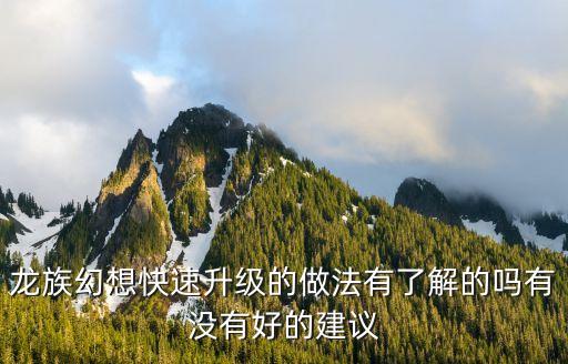 龙族幻想快速升级的做法有了解的吗有没有好的建议
