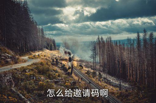 怎么给邀请码啊