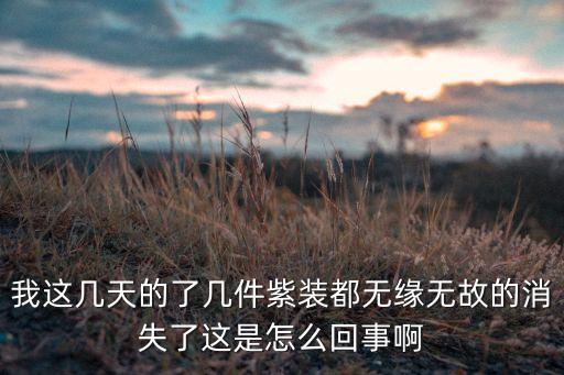 我这几天的了几件紫装都无缘无故的消失了这是怎么回事啊