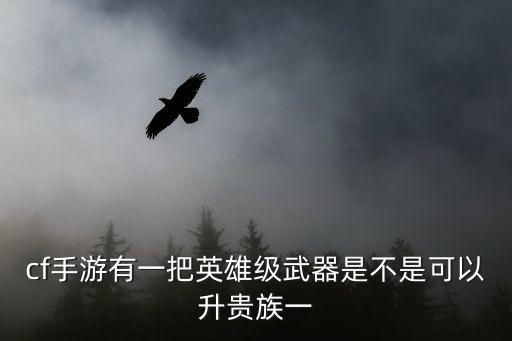 cf手游有一把英雄级武器是不是可以升贵族一