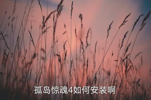 孤岛惊魂4如何安装啊