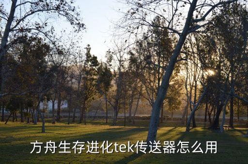 方舟生存进化tek传送器怎么用