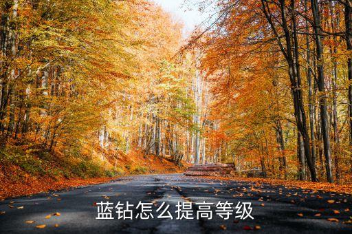 蓝钻怎么提高等级