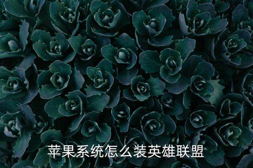 苹果英雄联盟手游怎么，iphone版掌上英雄联盟谁能告诉我怎么下载