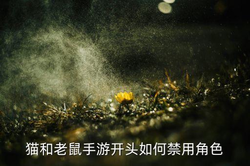 猫和老鼠手游开头如何禁用角色