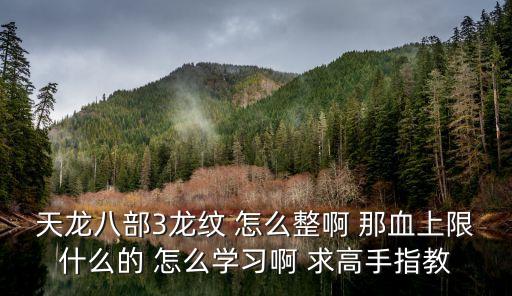 天龙八部3龙纹 怎么整啊 那血上限什么的 怎么学习啊 求高手指教