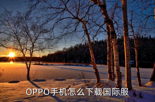 OPPO手机怎么下载国际服