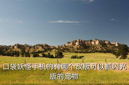 口袋妖怪手机的有哪个改版可以抓闪光版的宠物