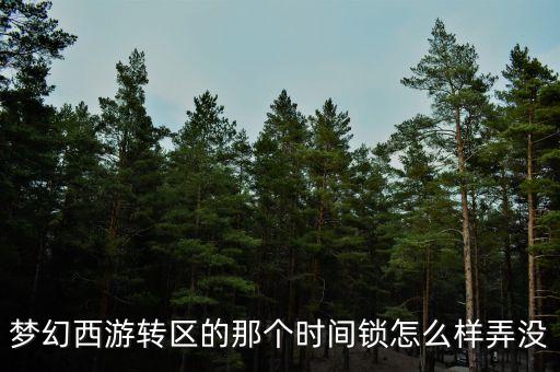 梦幻西游转区的那个时间锁怎么样弄没
