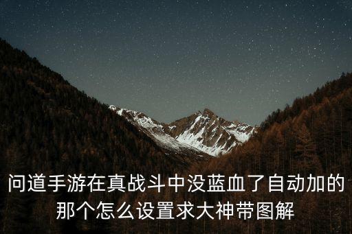 问道手游在真战斗中没蓝血了自动加的那个怎么设置求大神带图解