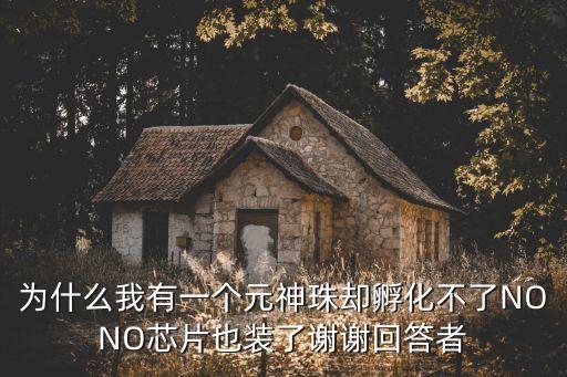 为什么我有一个元神珠却孵化不了NONO芯片也装了谢谢回答者