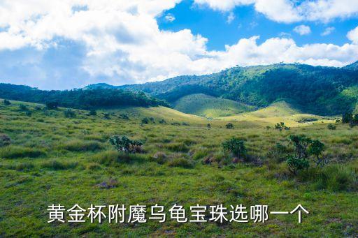 黄金杯附魔乌龟宝珠选哪一个