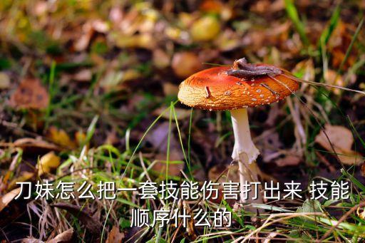 刀妹怎么把一套技能伤害打出来 技能顺序什么的