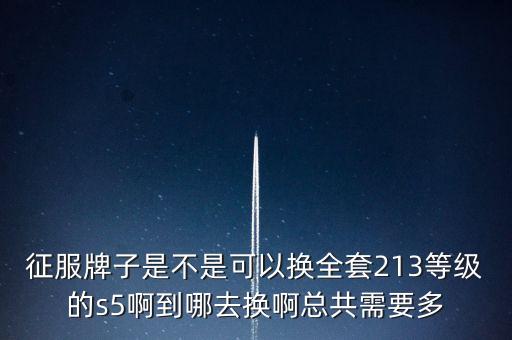 征服牌子是不是可以换全套213等级的s5啊到哪去换啊总共需要多
