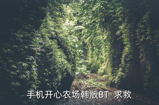手机开心农场韩版BT 求救
