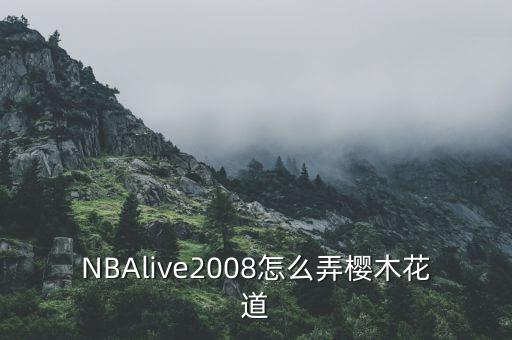 NBAlive2008怎么弄樱木花道