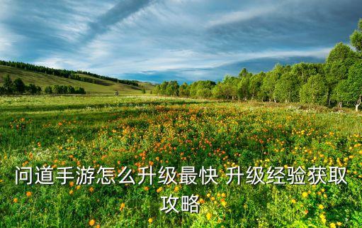 问道手游怎么升级最快 升级经验获取攻略