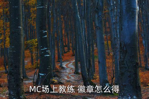 MC场上教练 徽章怎么得