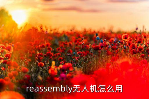 和平精英手游无人机怎么用视频，EVE无人机怎么用