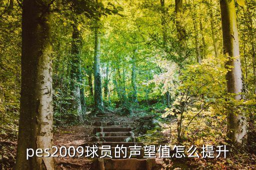 pes2009球员的声望值怎么提升