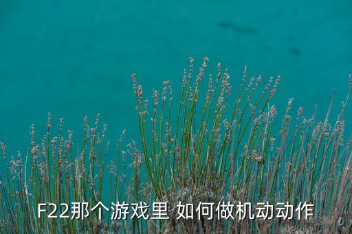 nba2k22手游怎么做动作，在游戏里怎么打出动作啊高手帮忙