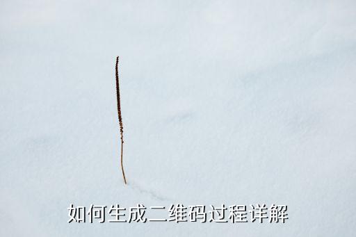 如何生成二维码过程详解