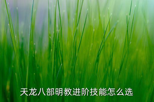 天龙八部明教进阶技能怎么选
