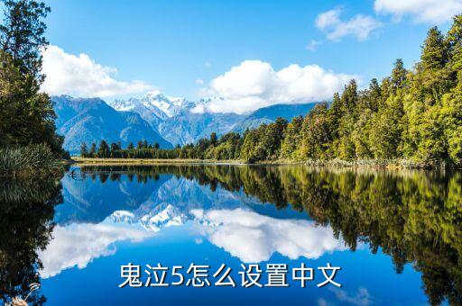 鬼泣5怎么设置中文