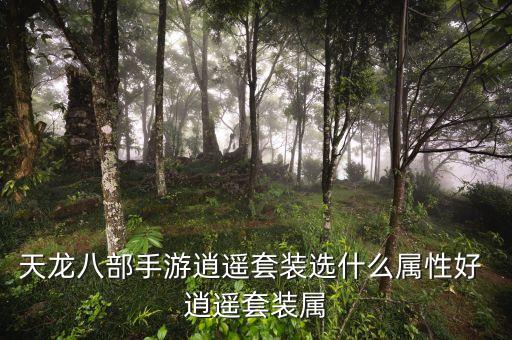 天龙八部手游逍遥套装选什么属性好 逍遥套装属
