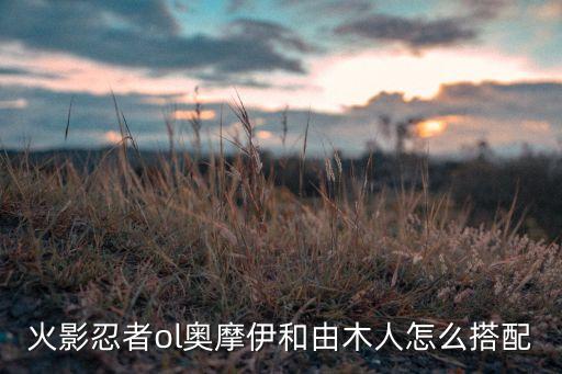 火影忍者ol奥摩伊和由木人怎么搭配