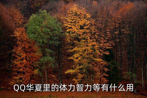 QQ华夏里的体力智力等有什么用