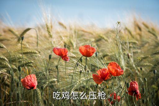 吃鸡怎么压枪