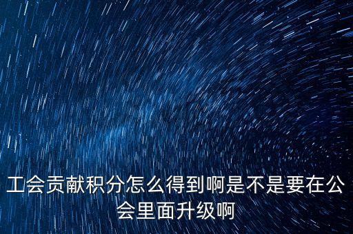 工会贡献积分怎么得到啊是不是要在公会里面升级啊