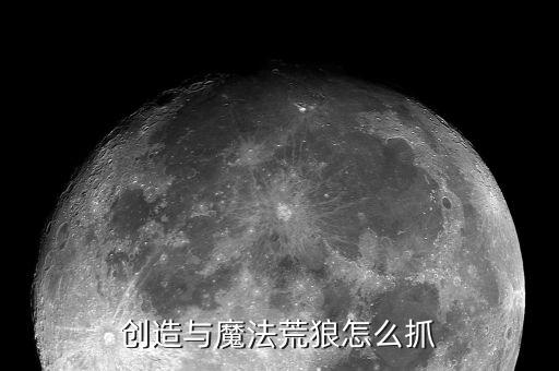 创造与魔法荒狼怎么抓