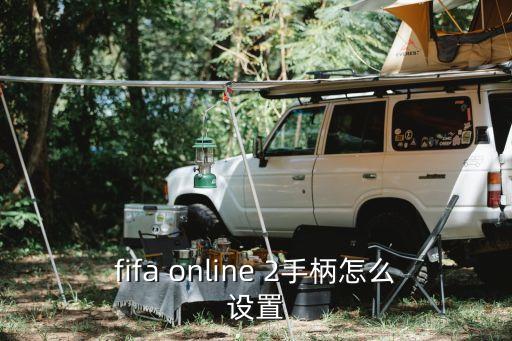 欧卡2手游怎么设置手柄，fifa online 2能用手柄吗怎么设置