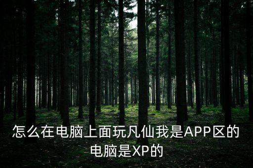 怎么在电脑上面玩凡仙我是APP区的电脑是XP的