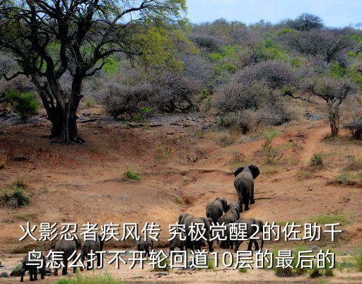 火影忍者疾风传 究极觉醒2的佐助千鸟怎么打不开轮回道10层的最后的