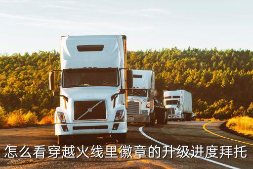 怎么看穿越火线里徽章的升级进度拜托