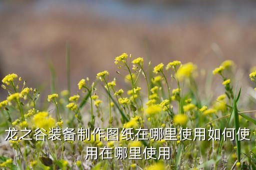 龙之谷装备制作图纸在哪里使用如何使用在哪里使用