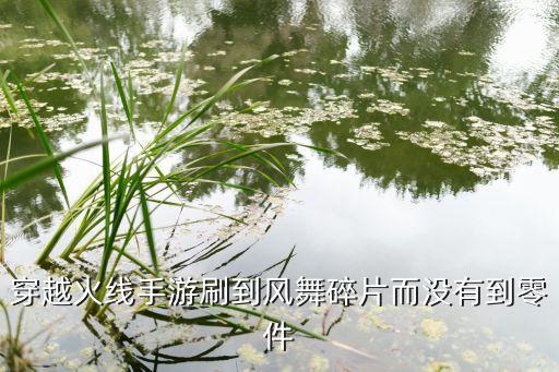 穿越火线手游刷到风舞碎片而没有到零件