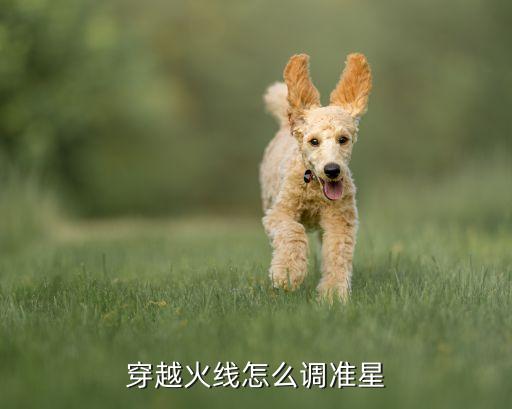 cf手游怎么设定准星，cf手游准星要怎么设置